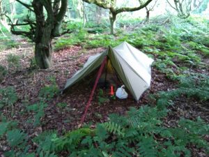 Tarp tent in forest