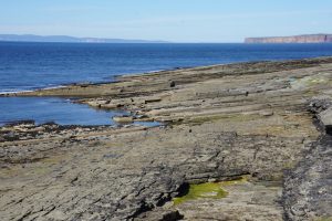 Coastal rock features